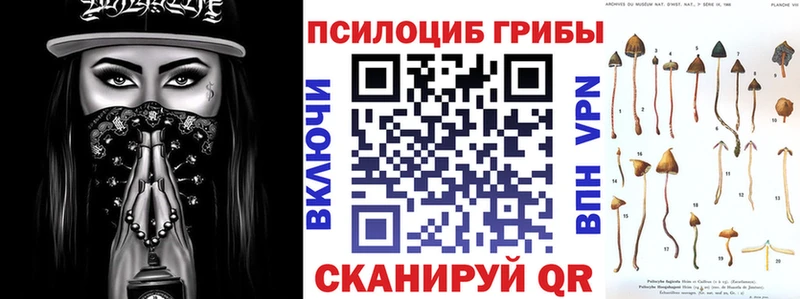 Псилоцибиновые грибы Magic Shrooms  Купить  Красноуфимск 